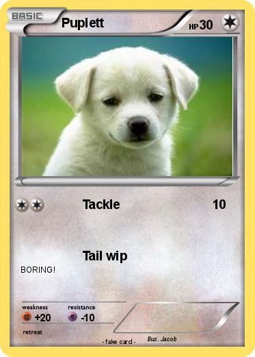 Pokemon Puplett