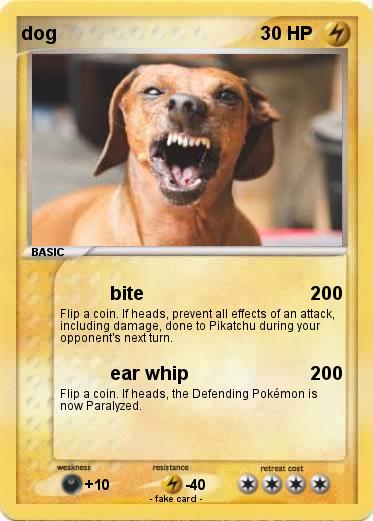 Pokemon dog