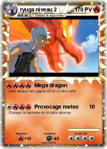 Pokemon ryuga niveau 2