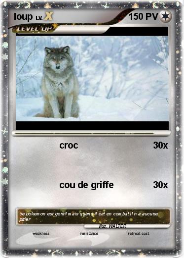 Pokemon loup