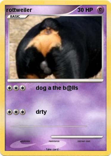Pokemon rottweiler