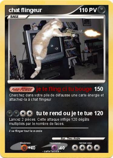 Pokemon chat flingeur
