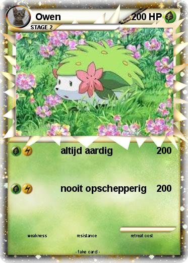 Pokemon Owen