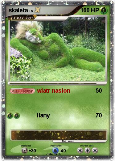 Pokemon skaieta