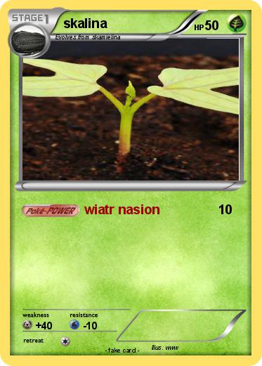 Pokemon skalina