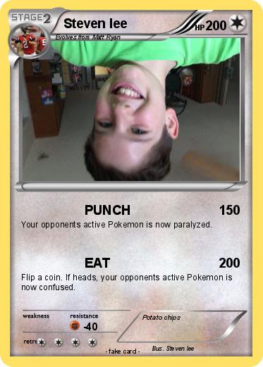 Pokemon Steven lee