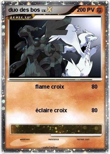 Pokemon duo des bos