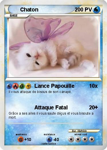 Pokemon Chaton