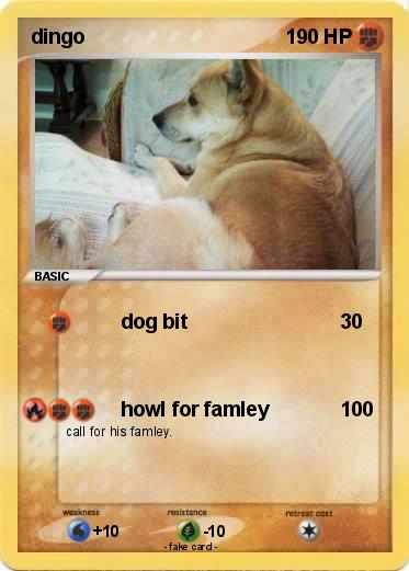 Pokemon dingo