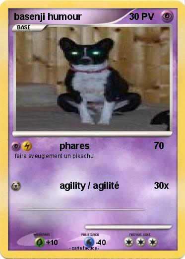 Pokemon basenji humour