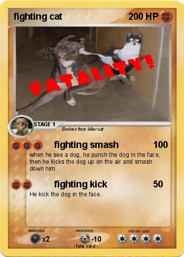 Pokemon fighting cat