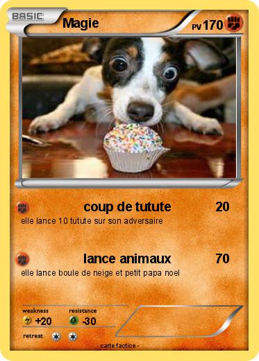 Pokemon Magie