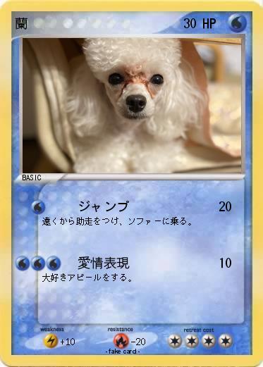 Pokemon 蘭