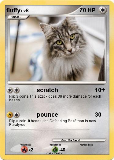 Pokemon fluffy