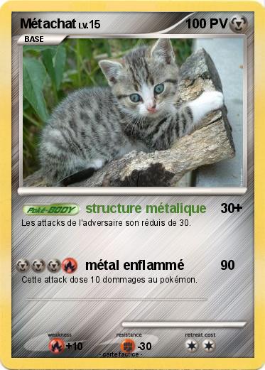Pokemon Métachat