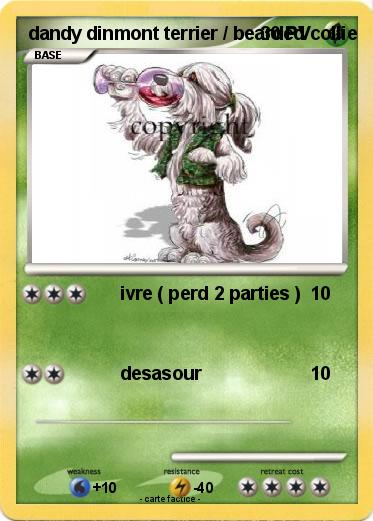 Pokemon dandy dinmont terrier / bearded collie