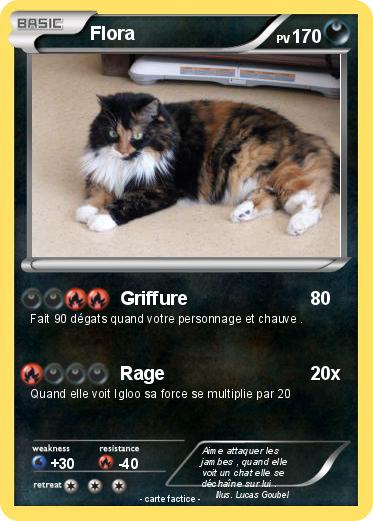 Pokemon Flora