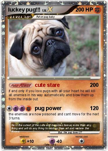 Pokemon luckey pug!!!