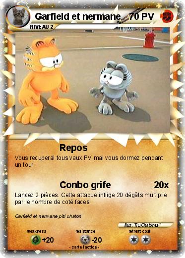 Pokemon Garfield et nermane