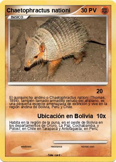 Pokemon Chaetophractus nationi