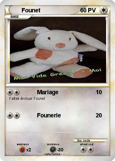 Pokemon Founet