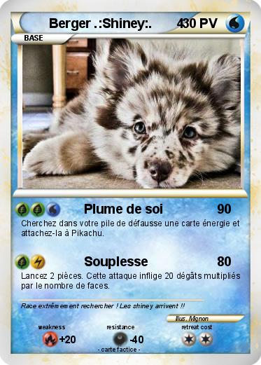 Pokemon Berger .:Shiney:.       4