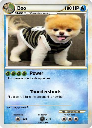 Pokemon Boo