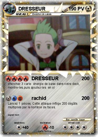 Pokemon DRESSEUR