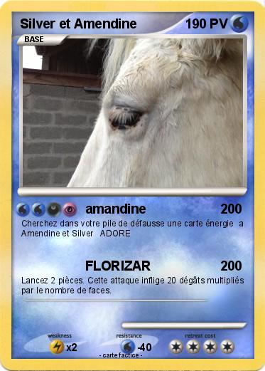 Pokemon Silver et Amendine
