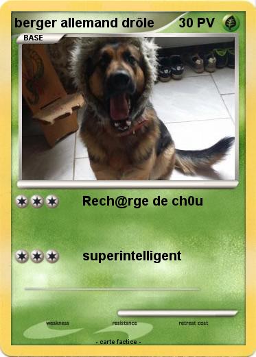Pokemon berger allemand drôle