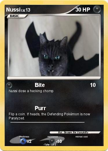 Pokemon Nussi