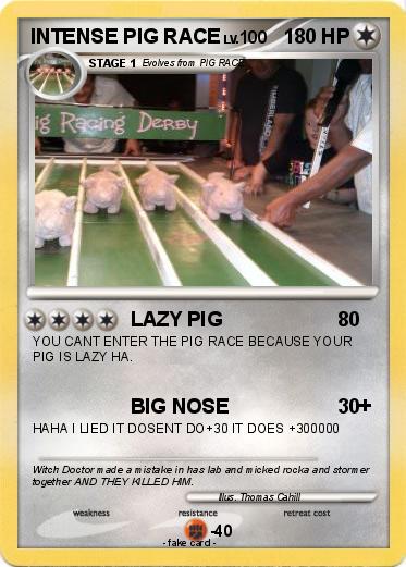 Pokemon INTENSE PIG RACE
