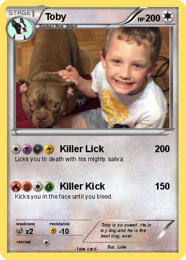 Pokemon Toby