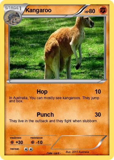Pokemon Kangaroo