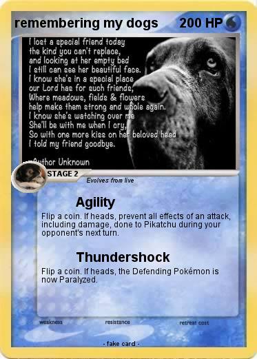 Pokemon remembering my dogs