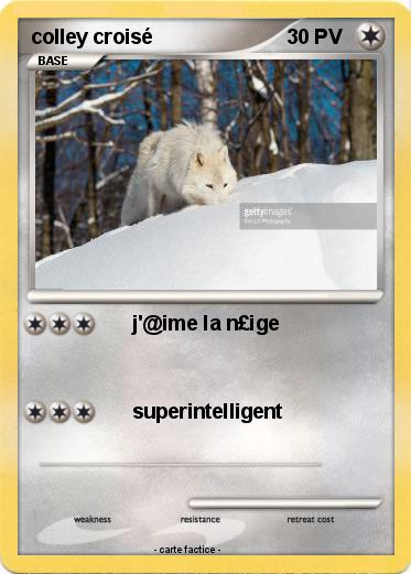 Pokemon colley croisé