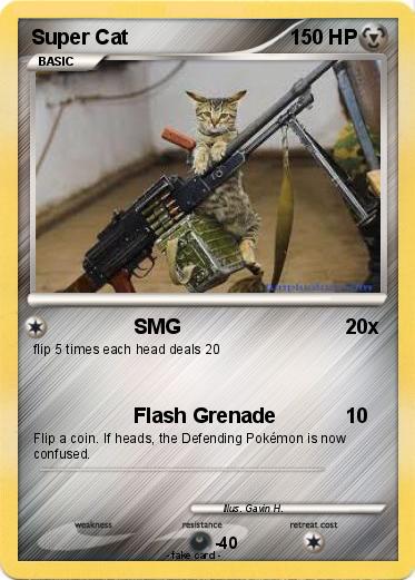 Pokemon Super Cat