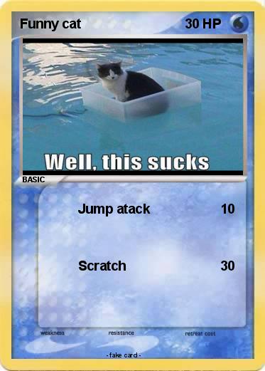 Pokemon Funny cat