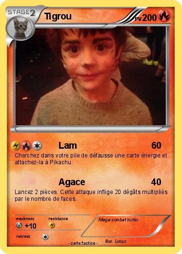 Pokemon Tigrou
