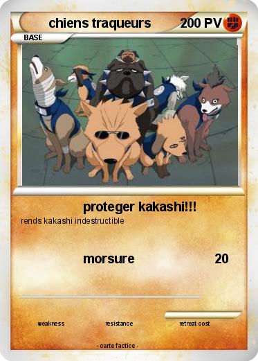 Pokemon chiens traqueurs