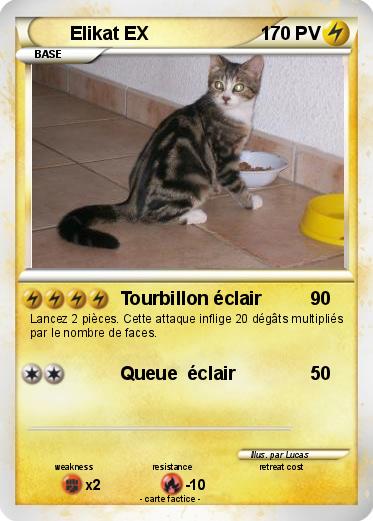 Pokemon Elikat EX