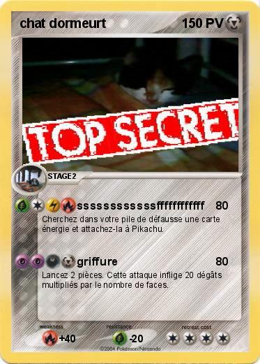 Pokemon chat dormeurt