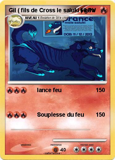 Pokemon Gil ( fils de Cross le saluki ) gdw