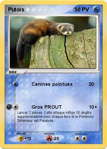 Pokemon Putois