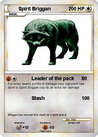 Pokemon Spirit Briggan