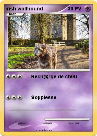 Pokemon irish wolfhound
