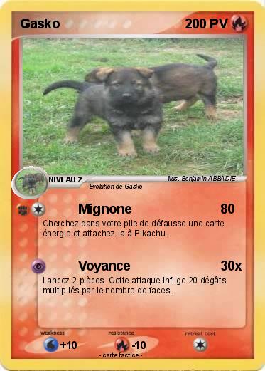 Pokemon Gasko