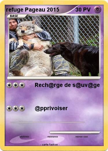 Pokemon refuge Pageau 2015