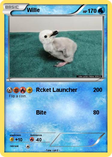 Pokemon Wille