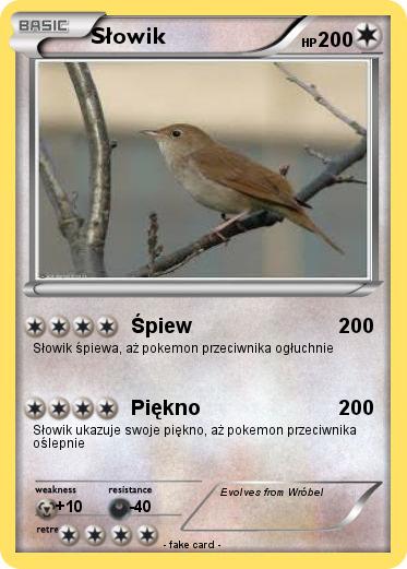 Pokemon Słowik